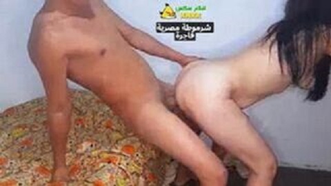 موزة خبرة واخدة الزب في خرم طيزها وتتناك بزواية صعبة – سكس عربي