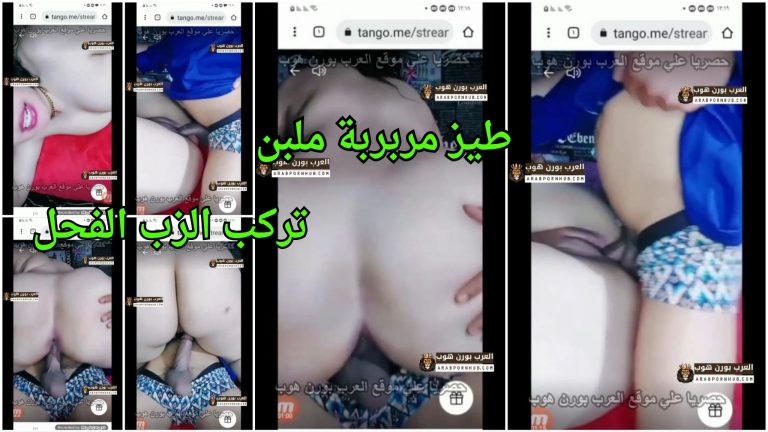 طيز مربربة ملبن تركب الزب الفحل المصري – سكس خليجي جامد