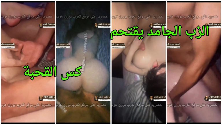 الزب الجامد يقتحم كس القحبة و يضرب طيزها جامد – افلام سكس خليجية