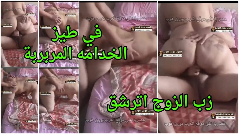 زب الزوج اترشق في طيز الخدامه المربربة – سكس مليف مصري