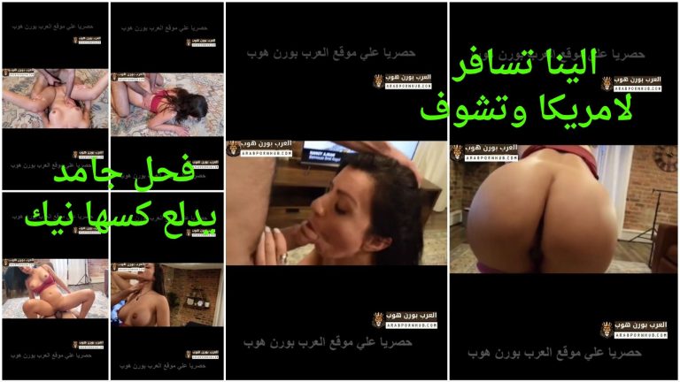 الينا تسافر لامريكا وتشوف فحل جامد يدلع كسها نيك – سكس عربي احترافي